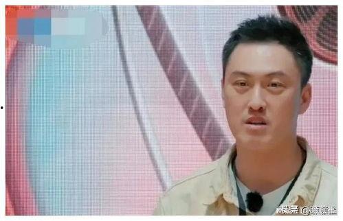 娱乐圈吃瓜教主是谁啊小说,揭秘幕后风云