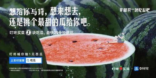 吃瓜娱乐圈的文案,揭秘明星幕后故事