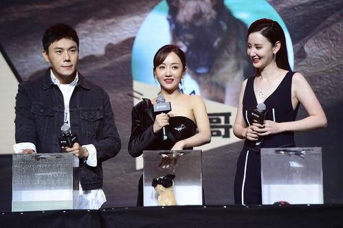 娱乐圈当红明星吃瓜汇总,揭秘明星私生活背后的真相